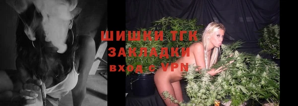 стаф Абинск