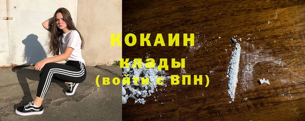 стаф Абинск
