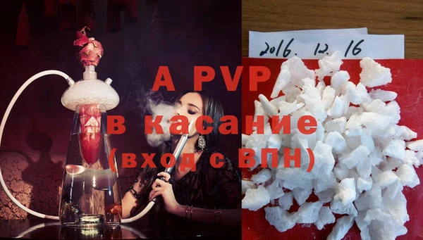 стаф Абинск