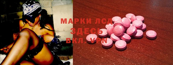 стаф Абинск