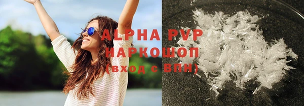 стаф Абинск