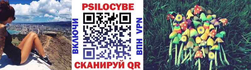 наркотики  Инта  Галлюциногенные грибы Psilocybine cubensis 